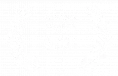 2021 AdIndex Awards SEO